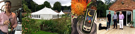 stellar-travel-daydream